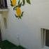 Citrus, , alojamiento privado en Djenović, Montenegro - Ulaz
